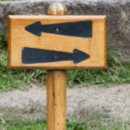 The Many Paths of Awakening